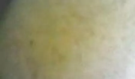 Zonder filme porngratis beperkingen begon ik te masturberen en te zuigen in de handen van de masseur.