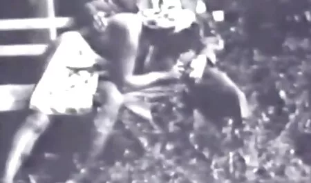 Zet schaaldieren in het raam en plant ze. filme cu buleala