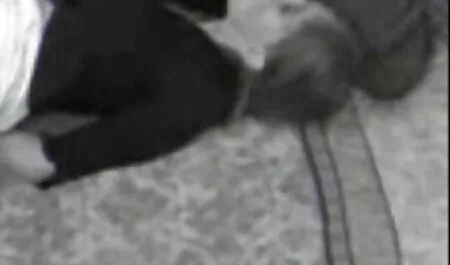 De filmesex gratis moeder van de toekomstige bruidegom test de toekomstige bruidegom